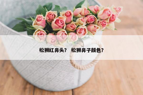 松狮红鼻头？ 松狮鼻子颜色？