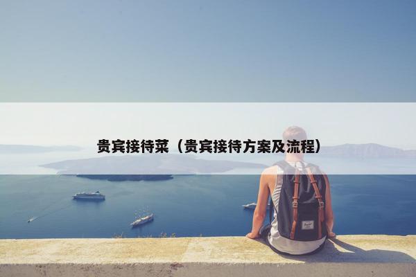 贵宾接待菜（贵宾接待方案及流程）