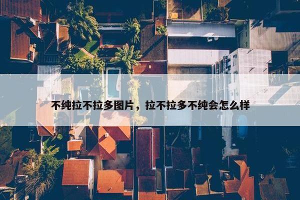 不纯拉不拉多图片，拉不拉多不纯会怎么样