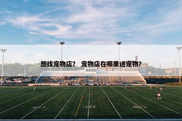 想找宠物店？ 宠物店在哪里进宠物？