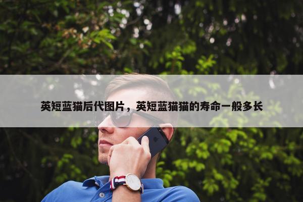 英短蓝猫后代图片，英短蓝猫猫的寿命一般多长