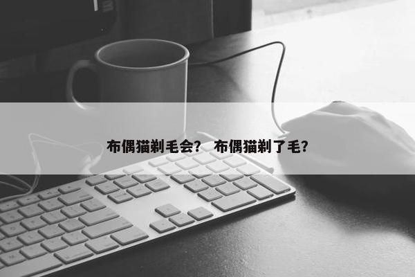 布偶猫剃毛会？ 布偶猫剃了毛？