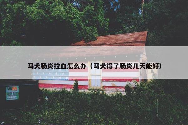 马犬肠炎拉血怎么办（马犬得了肠炎几天能好）