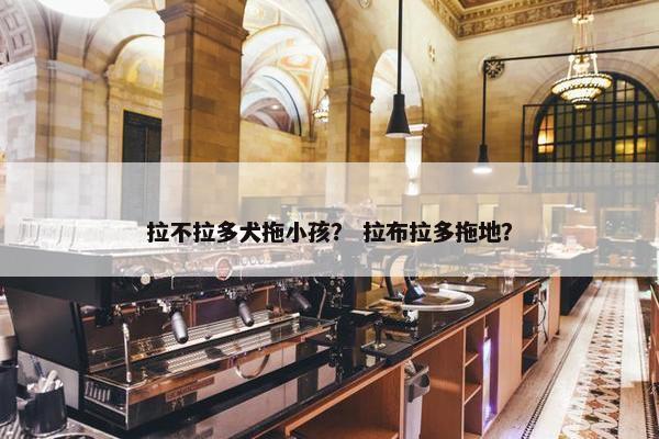 拉不拉多犬拖小孩？ 拉布拉多拖地？