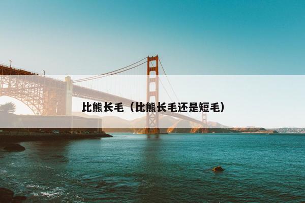 比熊长毛（比熊长毛还是短毛）