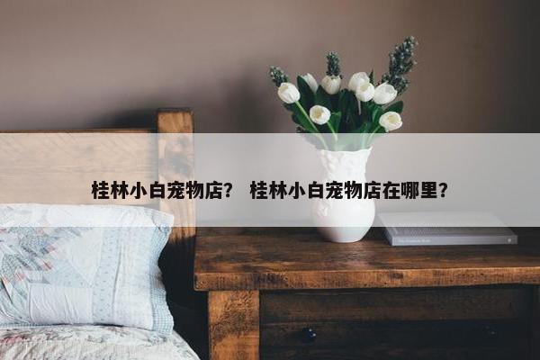 桂林小白宠物店？ 桂林小白宠物店在哪里？