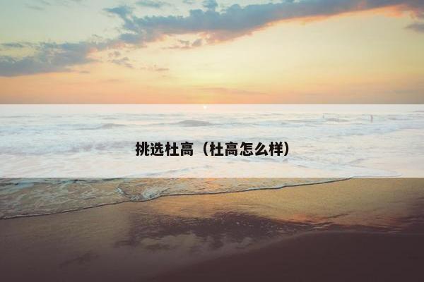 挑选杜高（杜高怎么样）