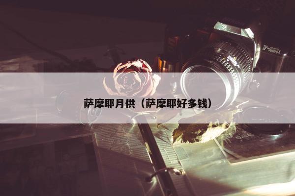 萨摩耶月供（萨摩耶好多钱）