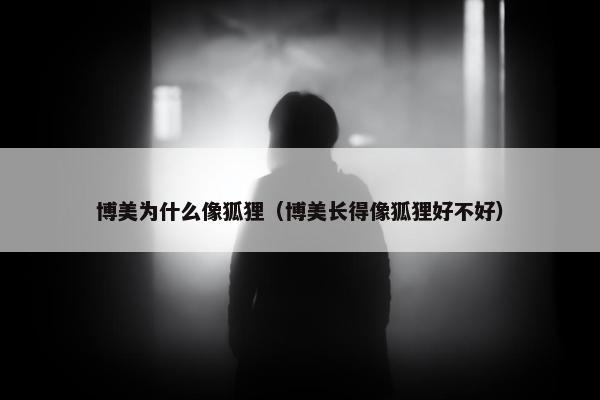 博美为什么像狐狸（博美长得像狐狸好不好）