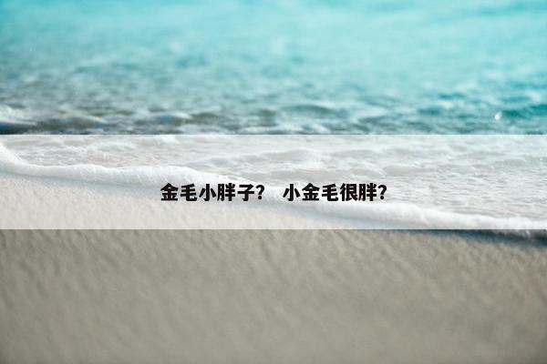 金毛小胖子？ 小金毛很胖？