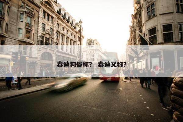 泰迪狗俗称？ 泰迪又称？