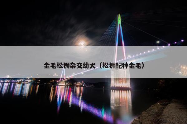 金毛松狮杂交幼犬（松狮配种金毛）