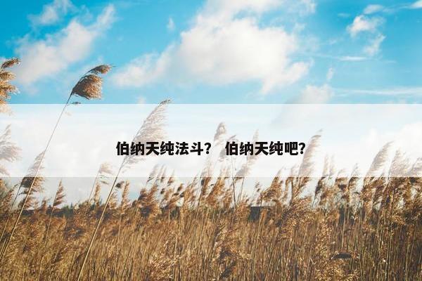 伯纳天纯法斗？ 伯纳天纯吧？