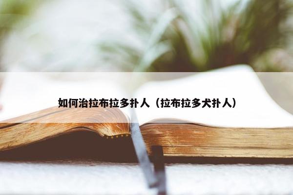 如何治拉布拉多扑人（拉布拉多犬扑人）