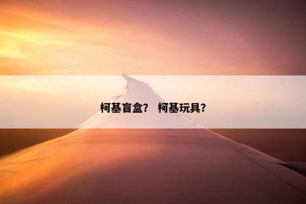 柯基盲盒？ 柯基玩具？