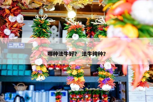 哪种法牛好？ 法牛纯种？