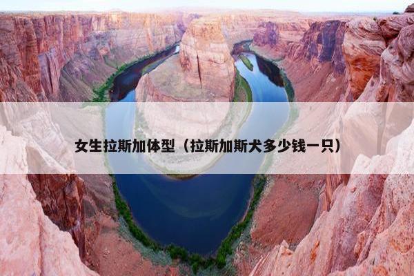 女生拉斯加体型（拉斯加斯犬多少钱一只）