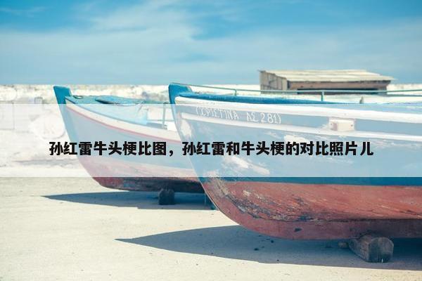 孙红雷牛头梗比图，孙红雷和牛头梗的对比照片儿