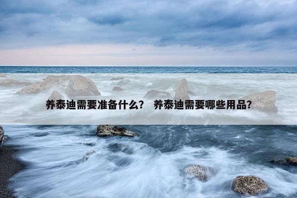 养泰迪需要准备什么？ 养泰迪需要哪些用品？
