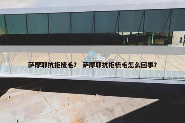 萨摩耶抗拒梳毛？ 萨摩耶抗拒梳毛怎么回事？