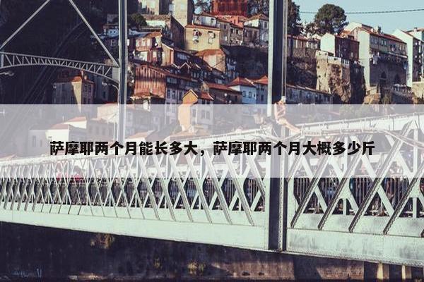 萨摩耶两个月能长多大，萨摩耶两个月大概多少斤