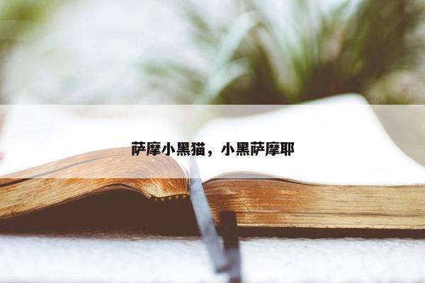 萨摩小黑猫，小黑萨摩耶