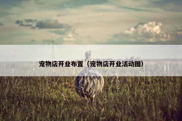 宠物店开业布置（宠物店开业活动图）
