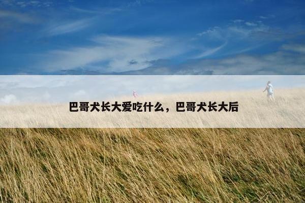 巴哥犬长大爱吃什么，巴哥犬长大后