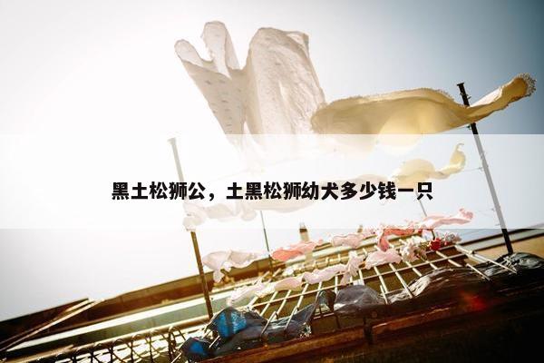 黑土松狮公，土黑松狮幼犬多少钱一只