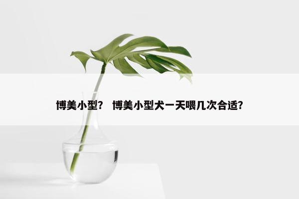 博美小型？ 博美小型犬一天喂几次合适？