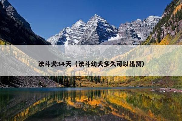 法斗犬34天（法斗幼犬多久可以出窝）