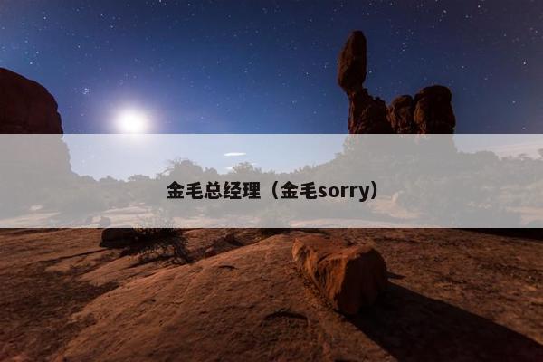金毛总经理（金毛sorry）