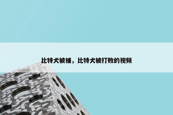 比特犬被捕，比特犬被打败的视频