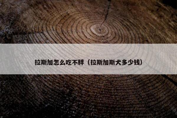 拉斯加怎么吃不胖（拉斯加斯犬多少钱）