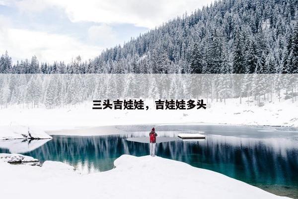 三头吉娃娃，吉娃娃多头