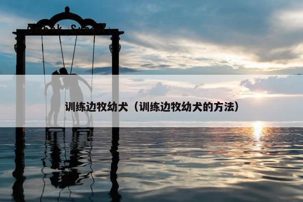 训练边牧幼犬（训练边牧幼犬的方法）