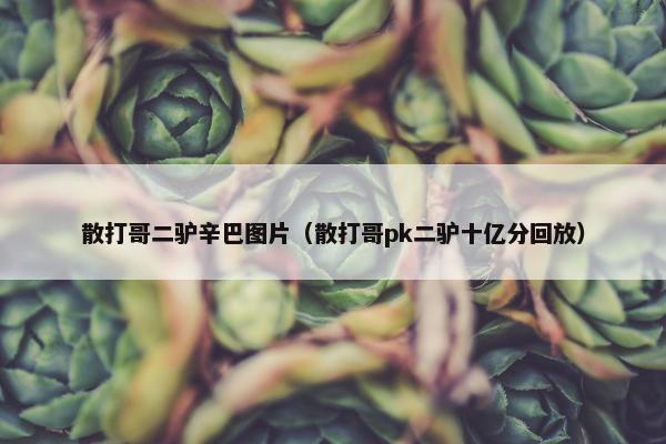 散打哥二驴辛巴图片（散打哥pk二驴十亿分回放）