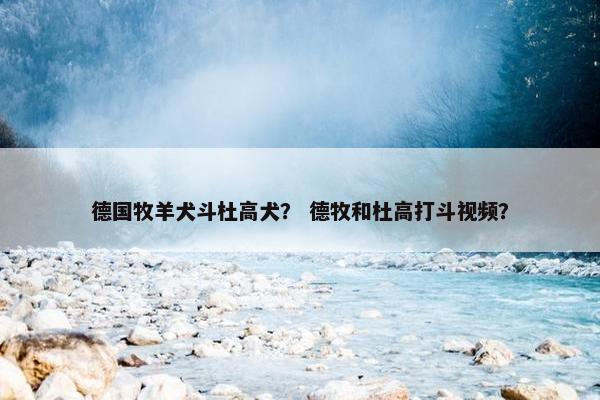 德国牧羊犬斗杜高犬？ 德牧和杜高打斗视频？