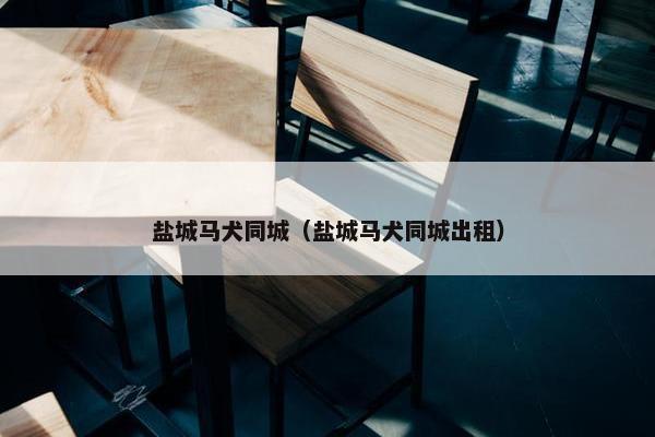 盐城马犬同城（盐城马犬同城出租）
