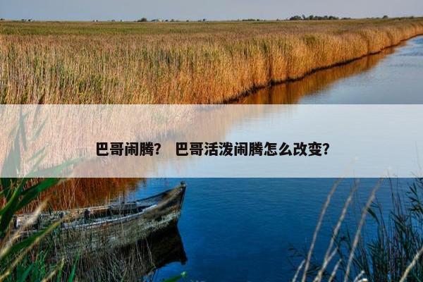 巴哥闹腾？ 巴哥活泼闹腾怎么改变？