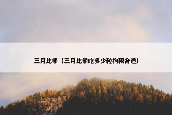 三月比熊（三月比熊吃多少粒狗粮合适）