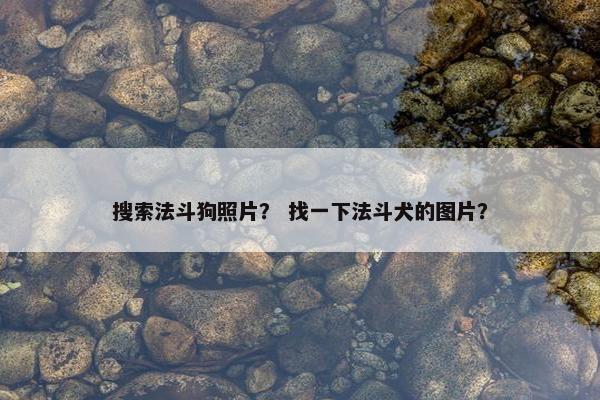 搜索法斗狗照片？ 找一下法斗犬的图片？