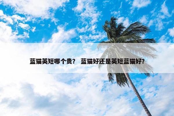 蓝猫英短哪个贵？ 蓝猫好还是英短蓝猫好？