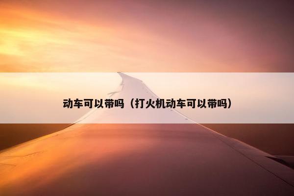 动车可以带吗（打火机动车可以带吗）