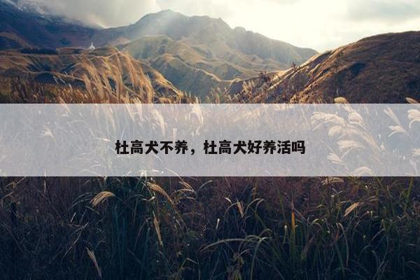 杜高犬不养，杜高犬好养活吗