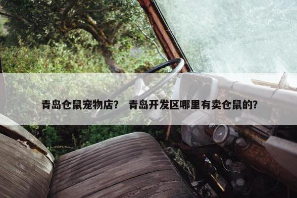 青岛仓鼠宠物店？ 青岛开发区哪里有卖仓鼠的？