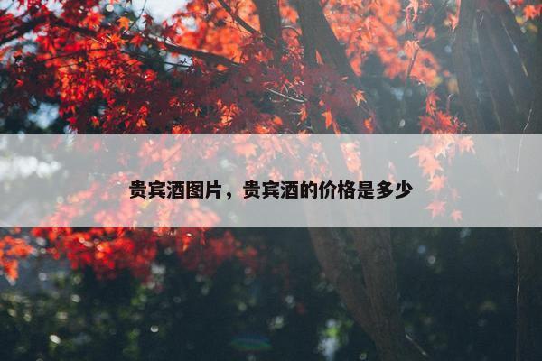 贵宾酒图片，贵宾酒的价格是多少