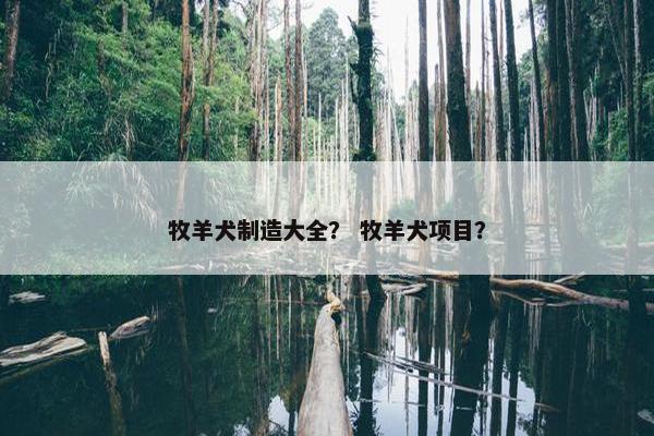 牧羊犬制造大全？ 牧羊犬项目？