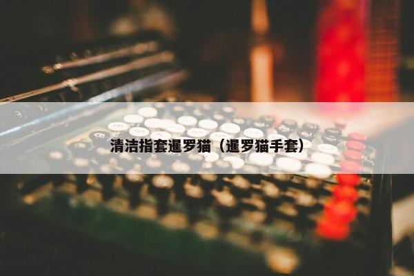 清洁指套暹罗猫（暹罗猫手套）