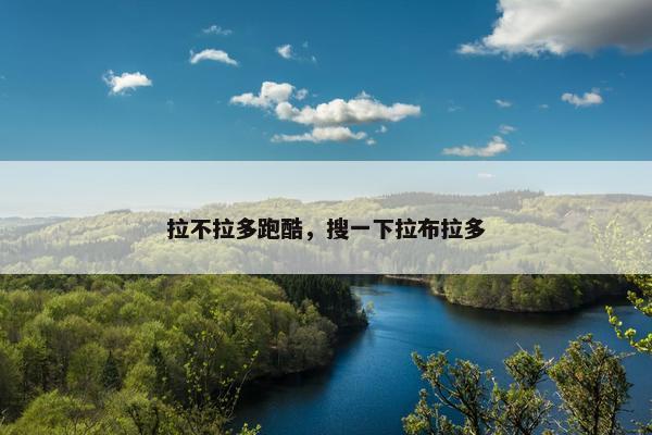 拉不拉多跑酷，搜一下拉布拉多